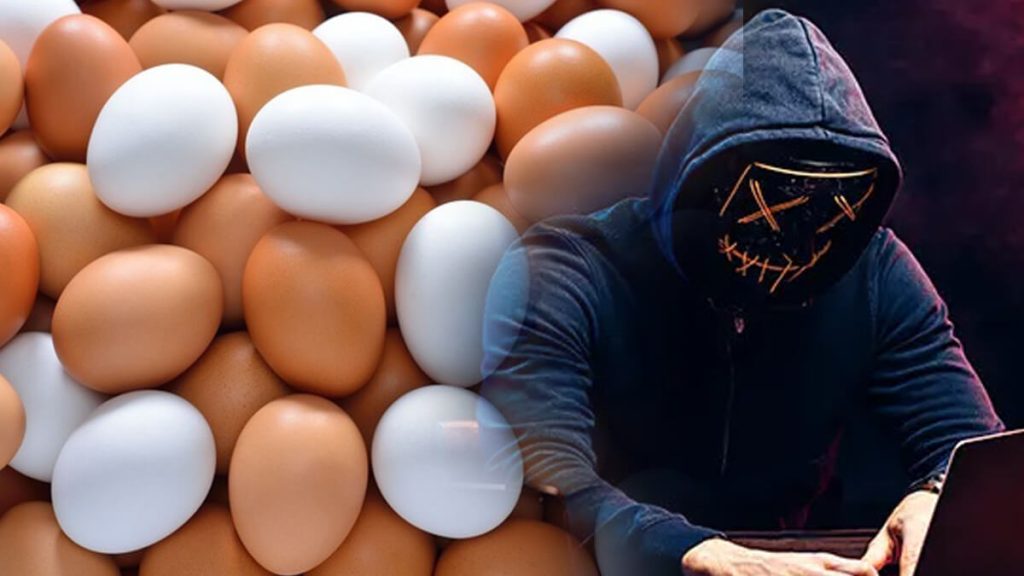 অনলাইনে ৪৯ টাকায় ৪৮টি ডিম