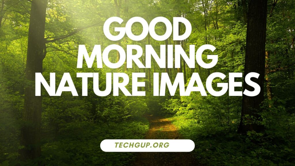good morning nature images