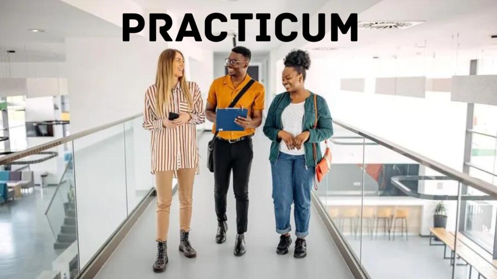 Practicum