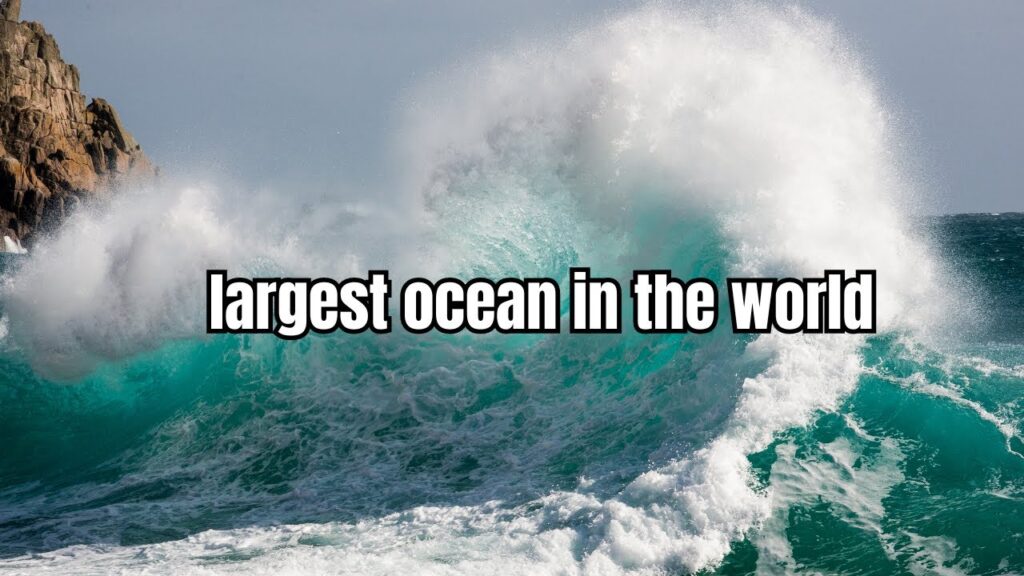 largest ocean in the world 3