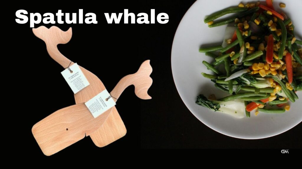 spatula whale