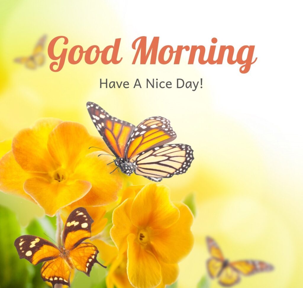 Have a Nice Day Images